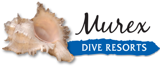 Murex Dive Resorts