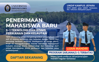 UNDIP Membuka Kesempatan Kuliah dengan Beasiswa Penuh Prodi S1 Teknologi Bisnis Perikanan dan Kelautan Kampus Jepara