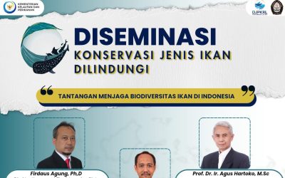 Kolaborasi FPIK UNDIP dan LPSPL Serang: Mengawal Masa Depan Konservasi Ikan Dilindungi di Indonesia